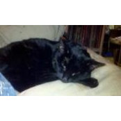 Ann Pluretti's photo