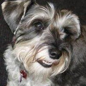 Jane Steed's photo