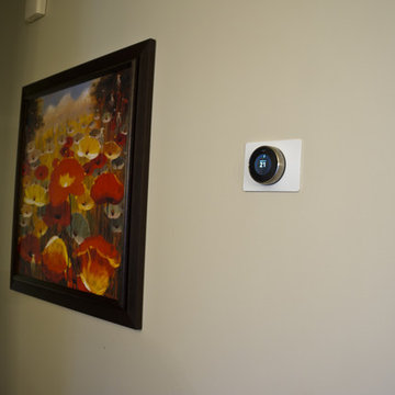 Whole Home Audio / Video Distribution