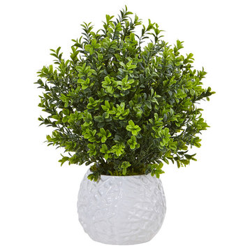 Boxwood Evergreen Artficial Plant, White Vase, Indoor/Outdoor