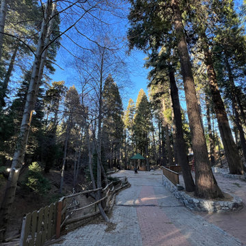 Lake Arrowhead