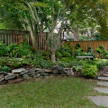 Backyards For Seth and Kat