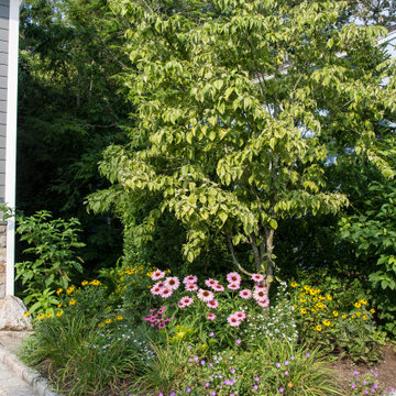 Native Plant, Lawn Replacement Landscape