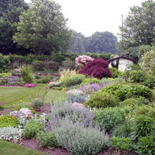 Native Plant Gardening