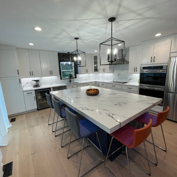 Full House Remodel in Vienna, VA