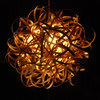 Pendant 1 Light