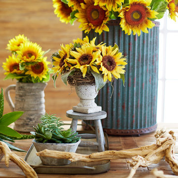 A Sunny Disposition