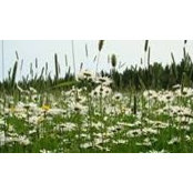 Brenda Imhoff's photo