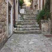 Lyla Nabulsi's photo