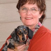 Nancy Ryman's photo