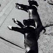 Brodie Popp's photo