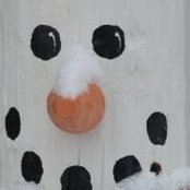 Debbie Wyman's photo