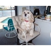 Elizabeth Watson's photo