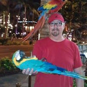 Rob McGinty's photo