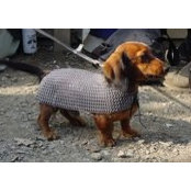 Stephan Weissmann's photo