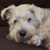 Peter Skolkay's photo