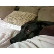 Cindy Patton's photo