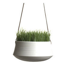 For the Home