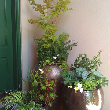 Sammamish - Container Plantings and Herb Garden