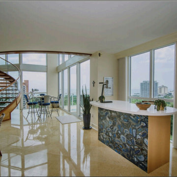 Luxury Condo Remodel