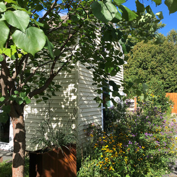Urban Dwelling