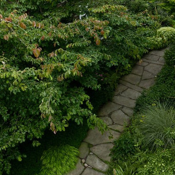 Romanelli Garden