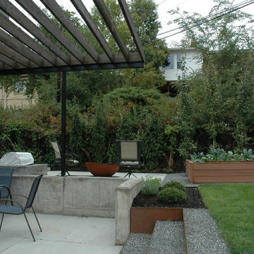 Contemporary Modern Rebuild on 10th Avenue & K Street