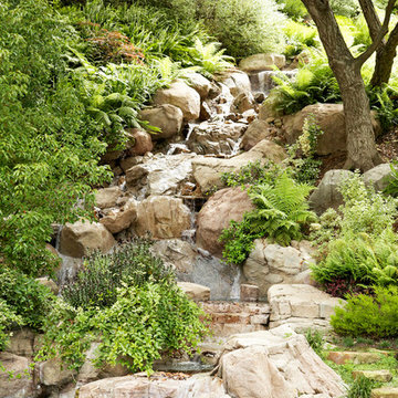 Woodland Stream