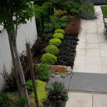 front yard