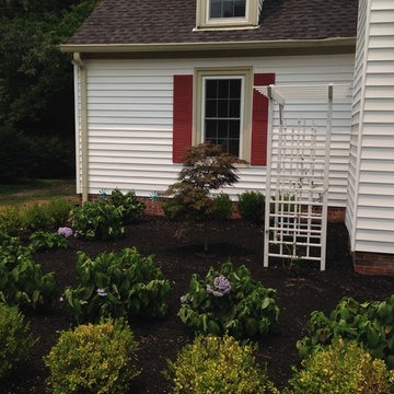 Formal Planting: Korean Boxwood and Blue Hydrangeas