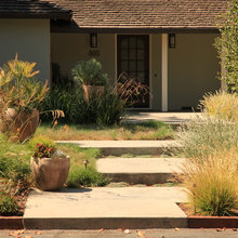 front yard