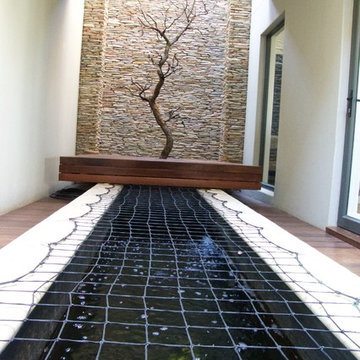 Davidson Atrium Tree