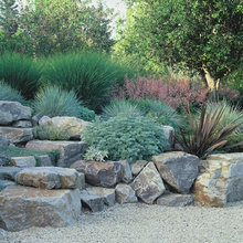 Rock garden
