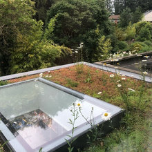 Green Roof