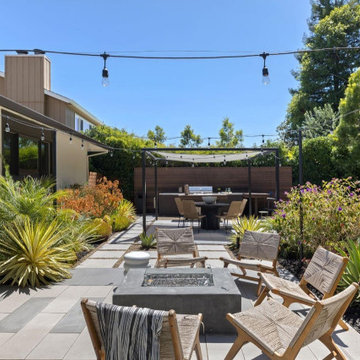 Contemporary Luxe Backyard