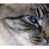 Heather McWhirter's photo