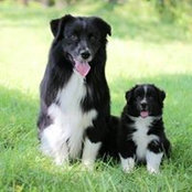 Raechelle Embrey's photo