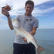 Brett Damisch's photo