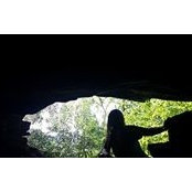 Jill Brown Pickett's photo