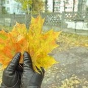 Foto de Людмила Бахар
