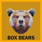 Box Bearss billede