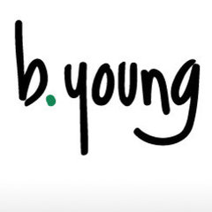 B Young Home Renovations