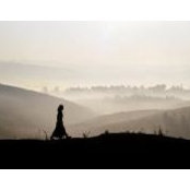 Susan Pierce's photo