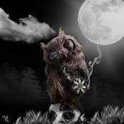 Alexander Rubin's photo