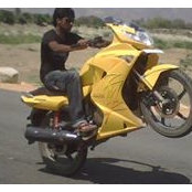 Foto von Rahul Lion