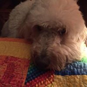 Charlotte Watton's photo