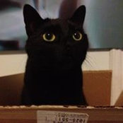Jared Bell's photo