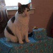 Kay Weisberger's photo