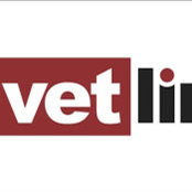 Foto von Vetlink Support