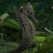 Thomas Gewin's photo